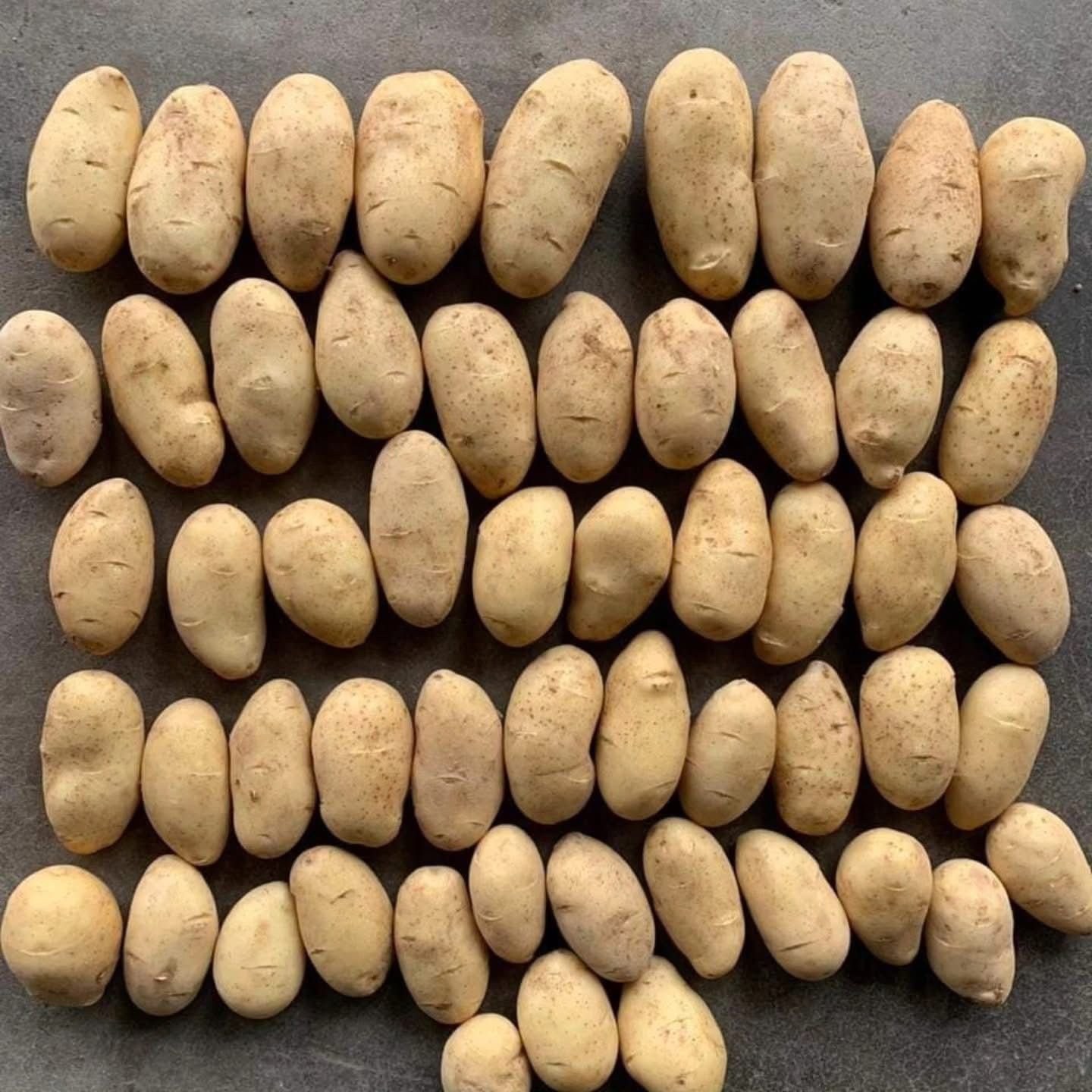 Potatoes